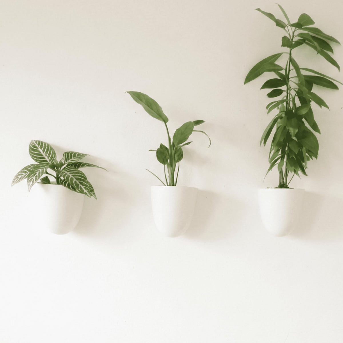 Make Good PlantPod Luxe wall planters: three units mounted on a wall for compact herbs.