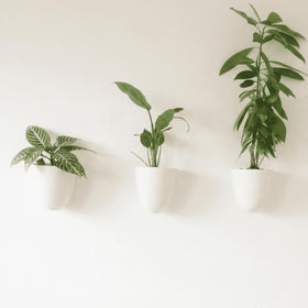 Make Good PlantPod Luxe wall planters: three units mounted on a wall for compact herbs.