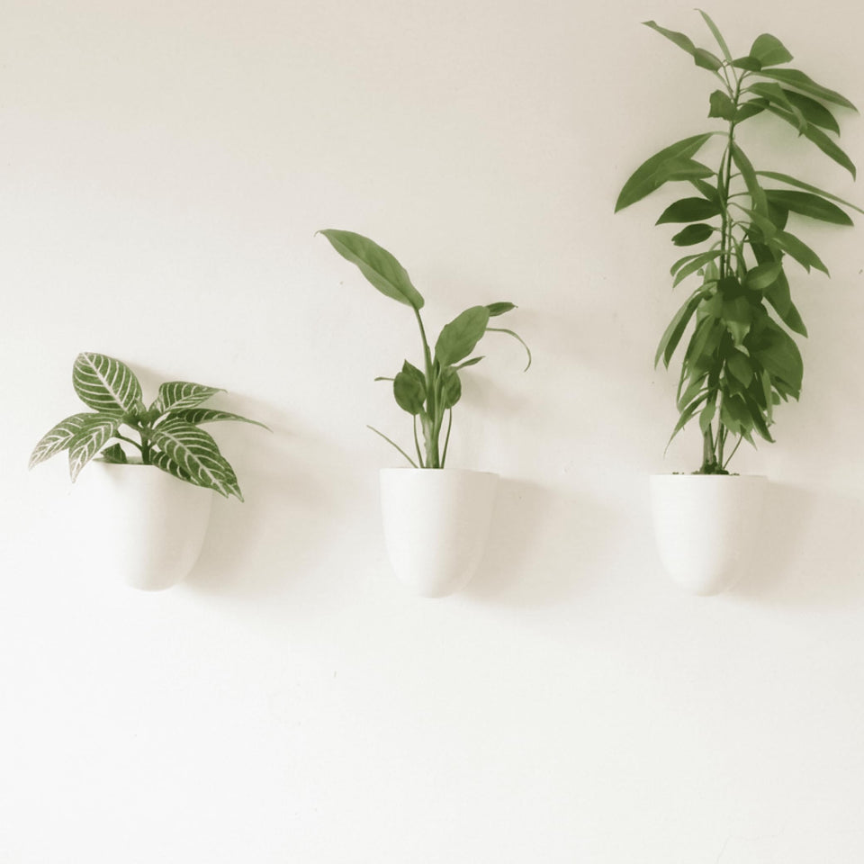 Make Good PlantPod Luxe wall planters: three units mounted on a wall for compact herbs.