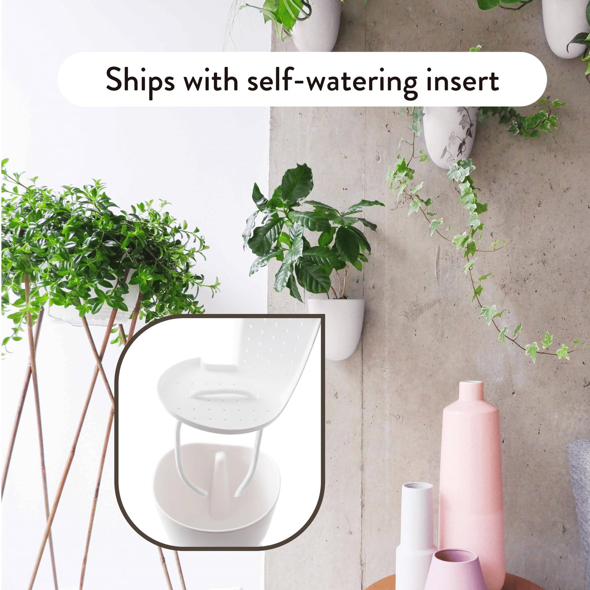 Self-watering PlantPod Luxe planter showing water reservoir and drip line.