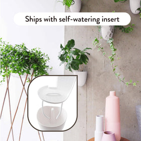 Self-watering PlantPod Luxe planter showing water reservoir and drip line.
