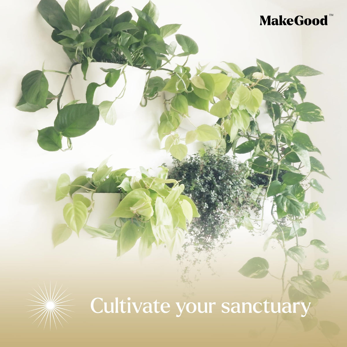 Make Good Virgo planters suitable for indoor and sheltered outdoor spaces