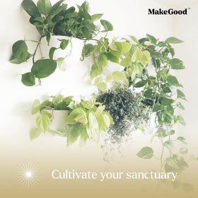 Make Good Virgo planters suitable for indoor and sheltered outdoor spaces