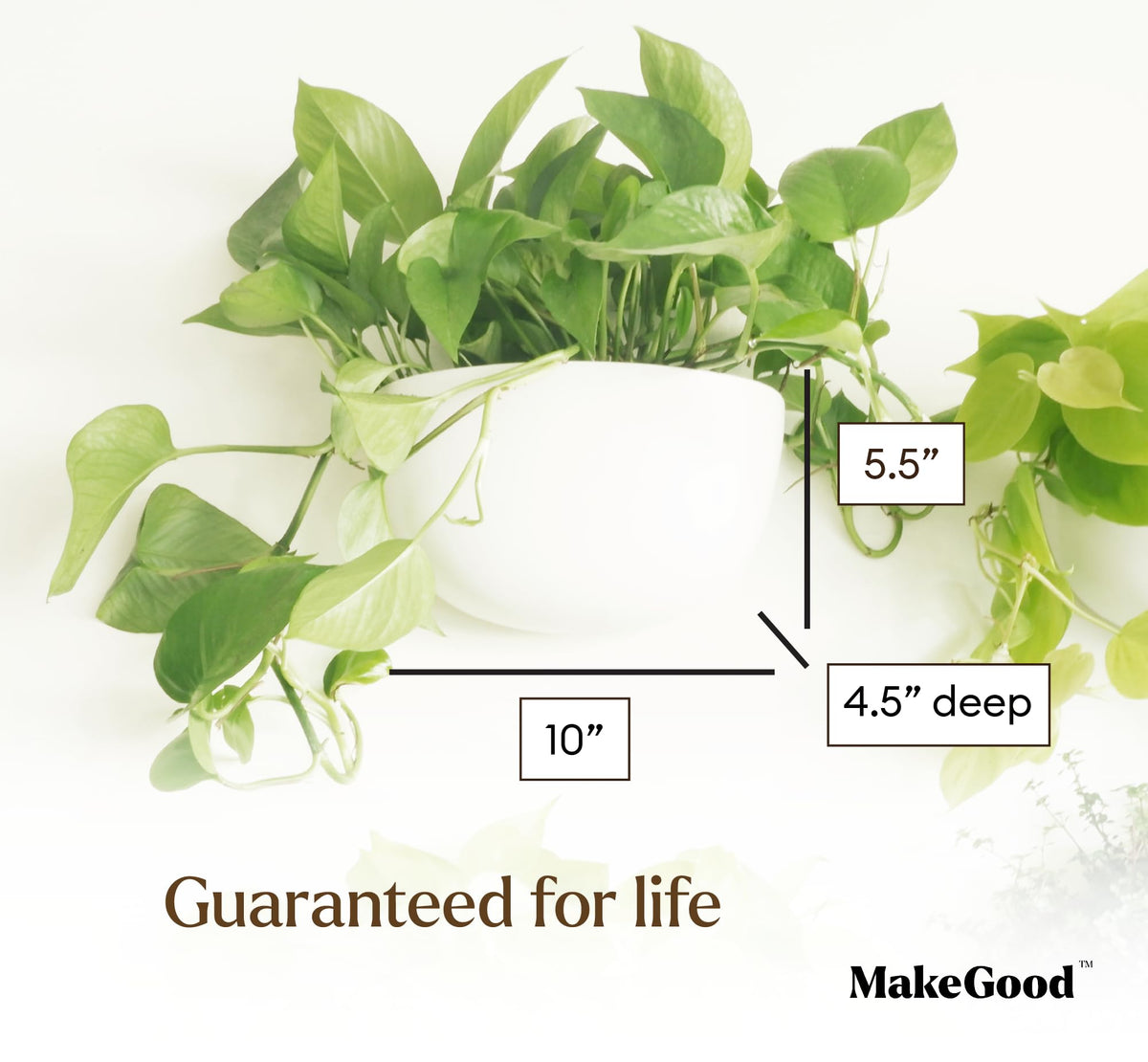 Make Good Virgo vertical garden layout maximizes small spaces