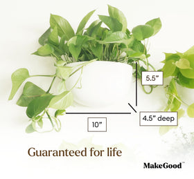 Make Good Virgo vertical garden layout maximizes small spaces