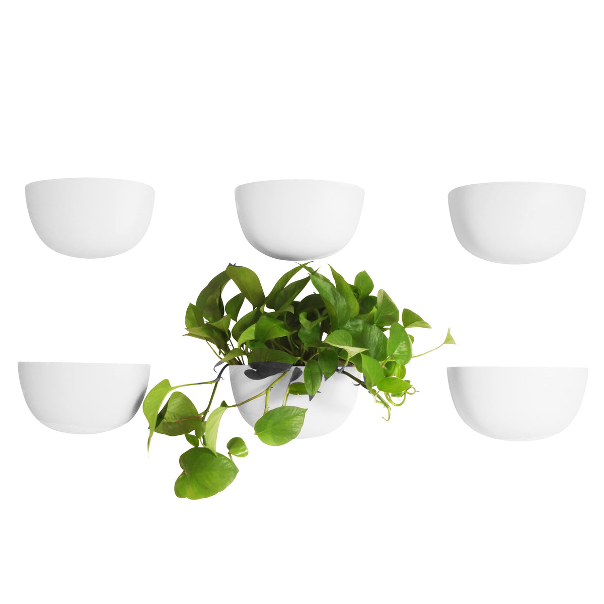 Make Good Virgo wall planters in hammer-mount setup for quick installation