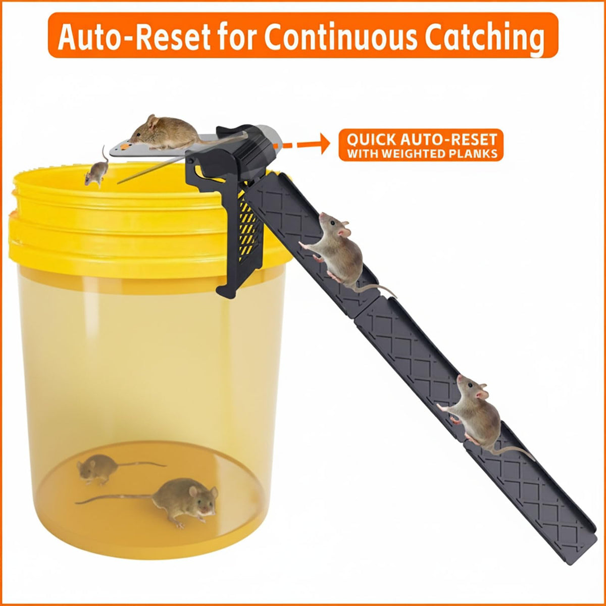 MakeNook Walk The Plank fits standard 5-gallon buckets for versatile placement.
