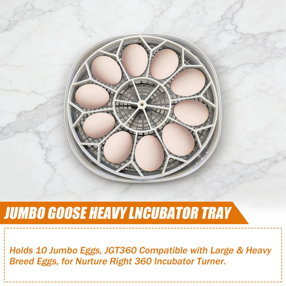 Tray dimensions safeguard 10 jumbo goose eggs with precise width and spacing