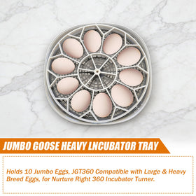 Tray dimensions safeguard 10 jumbo goose eggs with precise width and spacing