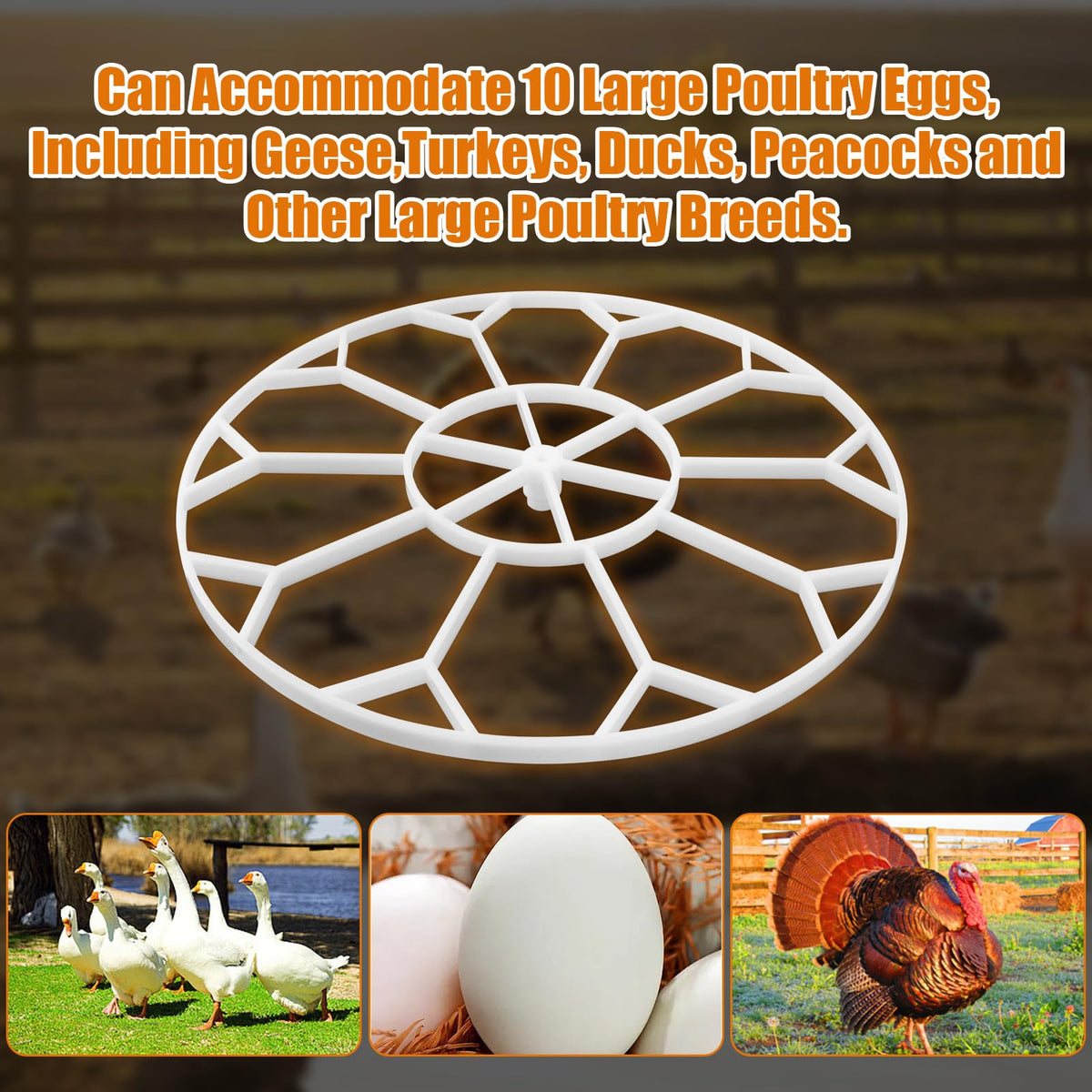 Durable materials resist impact across multiple incubation cycles