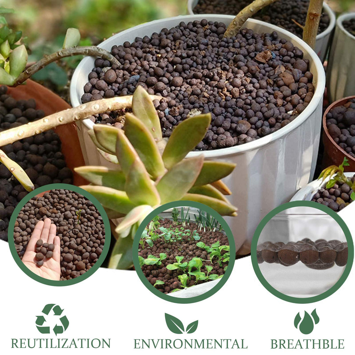 Malifea LECA pebbles are reusable after cleaning for sustainable gardening.