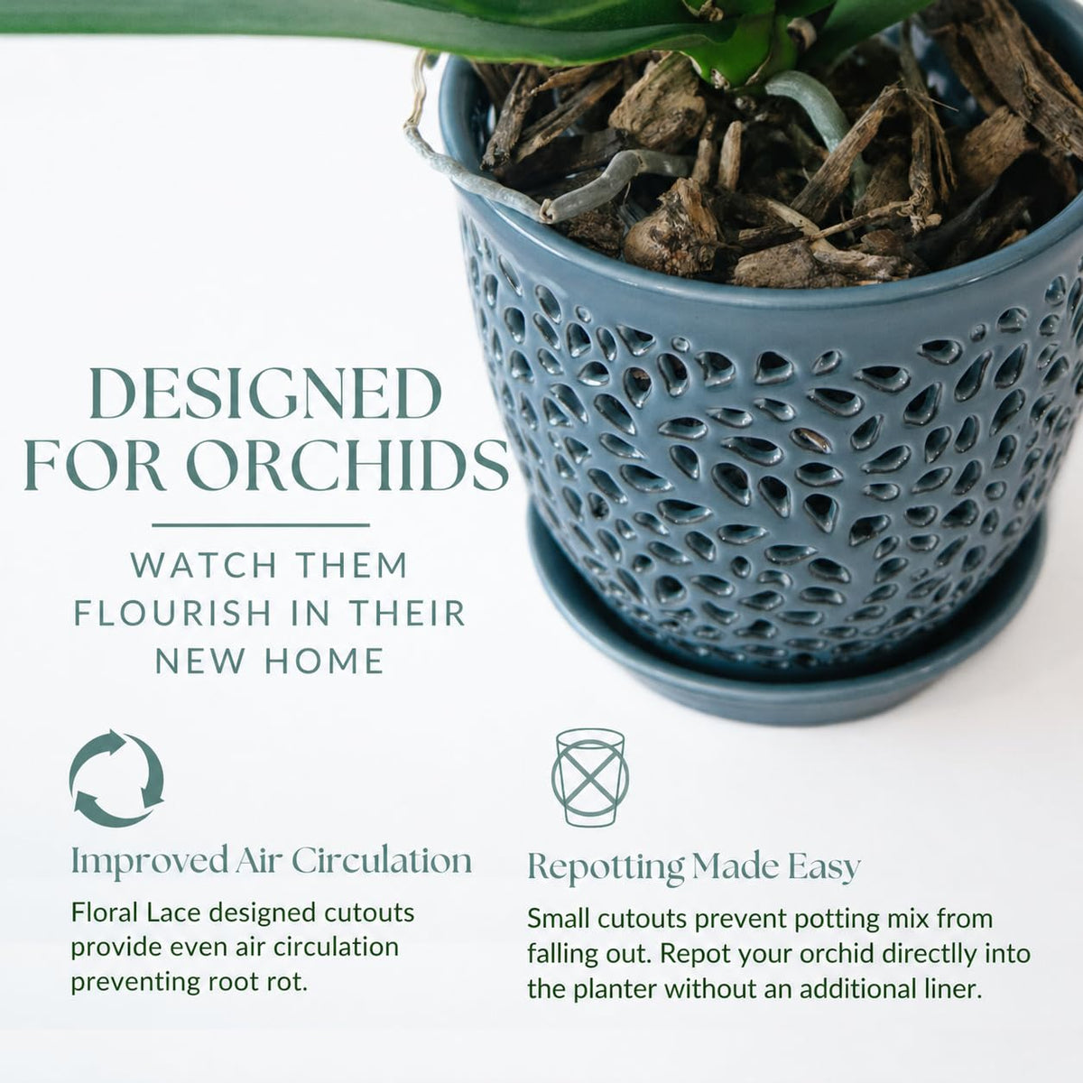 Mama Cozy Life orchid pot with drainage holes promotes healthy roots and reduces overwatering