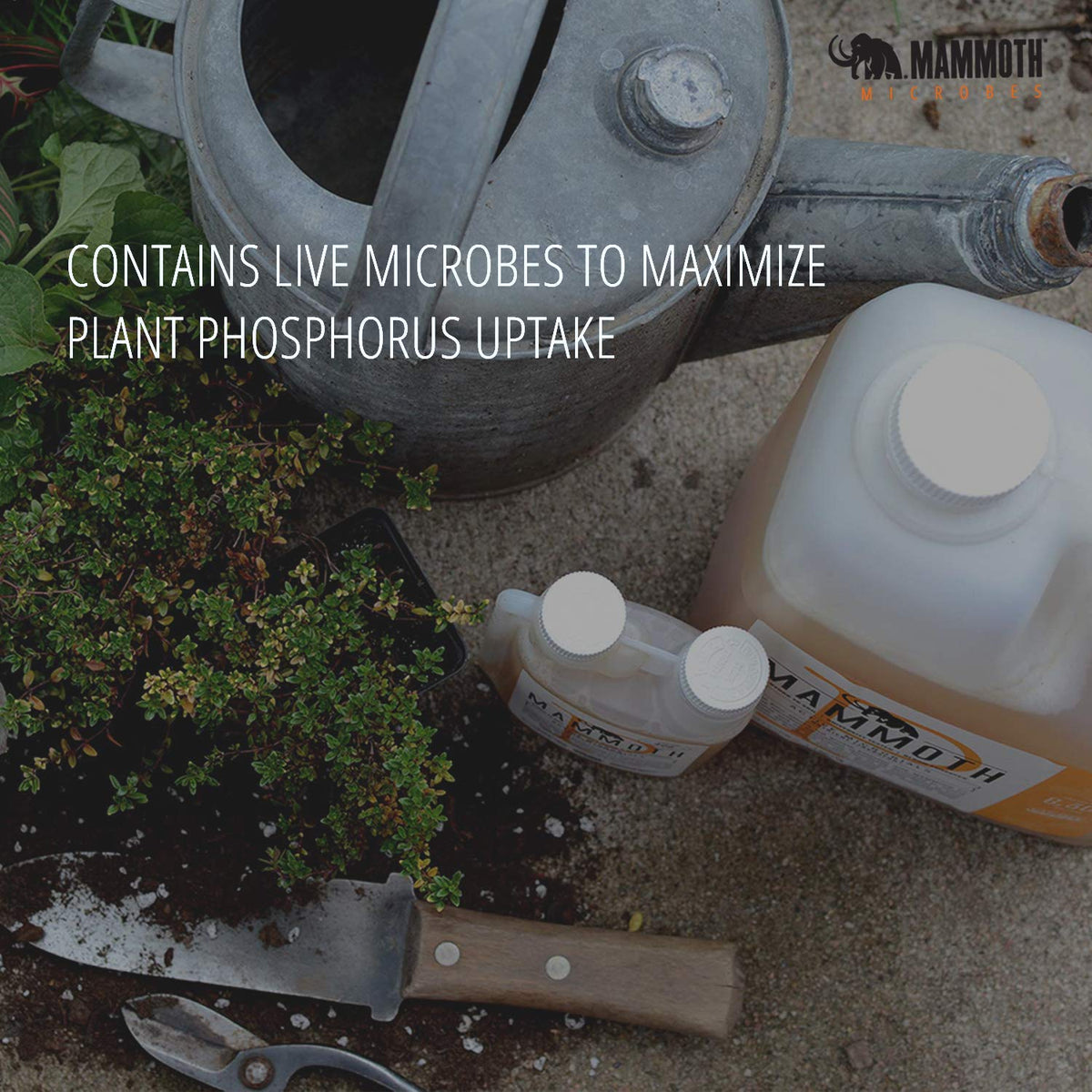 Mammoth Bloom Booster dosing spoon enables accurate measurement for consistent feeding.