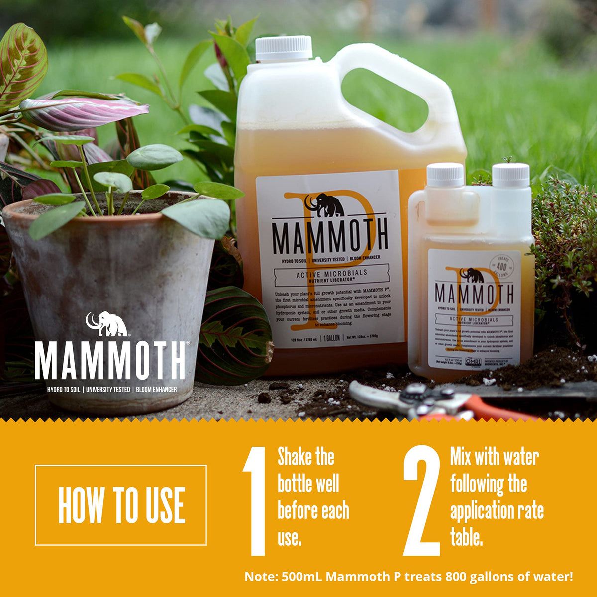 Mammoth P Bloom Booster being mixed in water for even distribution.