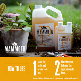 Mammoth P Bloom Booster being mixed in water for even distribution.