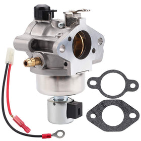 Mannial carburetor in-use image suggests reliable performance during mowing tasks
