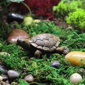 MAOMIA turtle figurines as fish tank decor accent