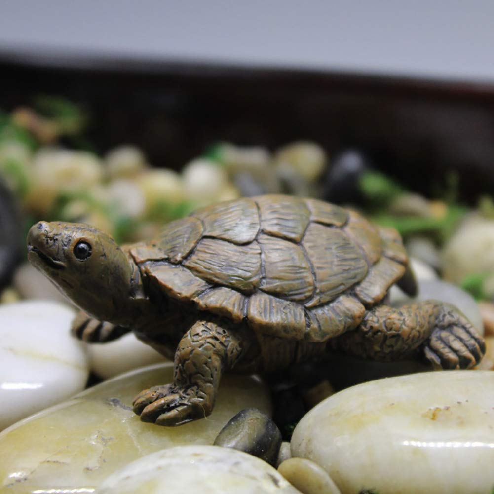 MAOMIA turtle figurines in terrarium scene for playful scenery