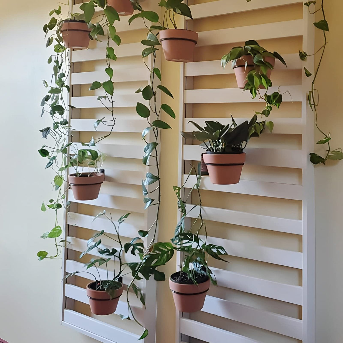Maosen metal plant bracket hanger offers secure, sturdy plant display.
