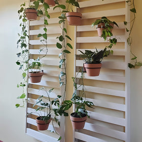 Maosen space-saving plant display perfect for balconies and narrow walls.