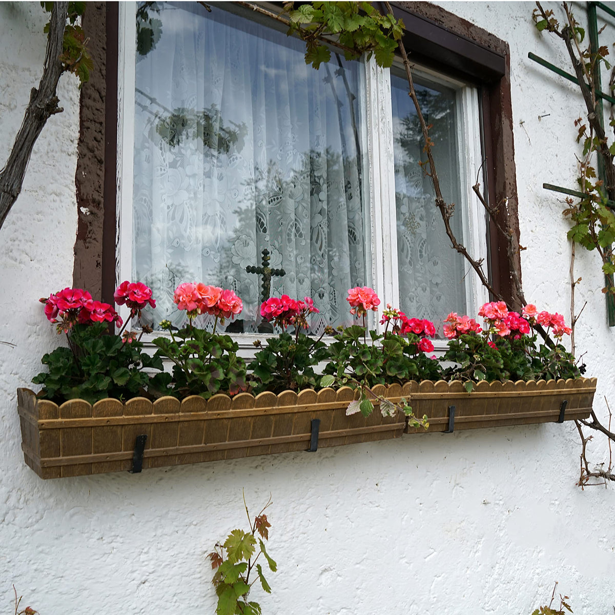 Maotong six-pack brackets for multiple planting areas