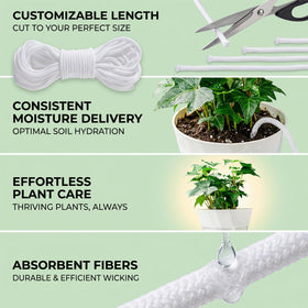 MAQIHAN DIY auto-watering system uses capillary action for hands-off care.
