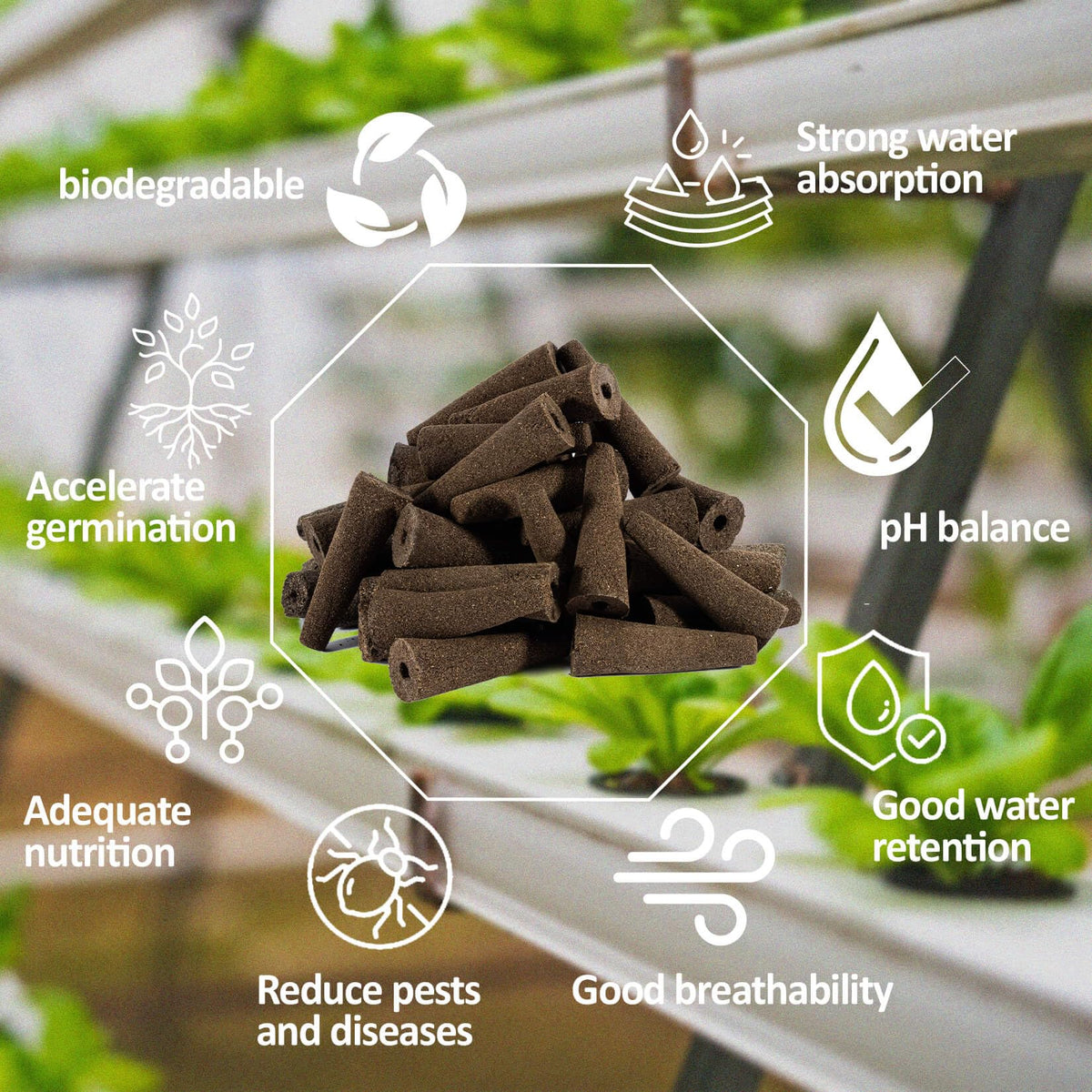 MAQIHAN hydroponic pods offer excellent water absorption for consistent moisture.