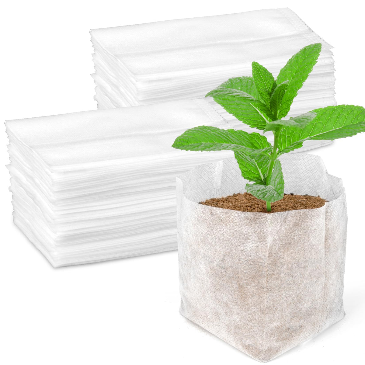 MAQIHAN nursery grow bags in-use for seed starting and organized transplanting