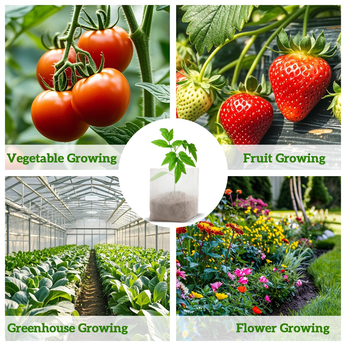 Clear white MAQIHAN bags make root health easy to monitor