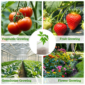 Clear white MAQIHAN bags make root health easy to monitor