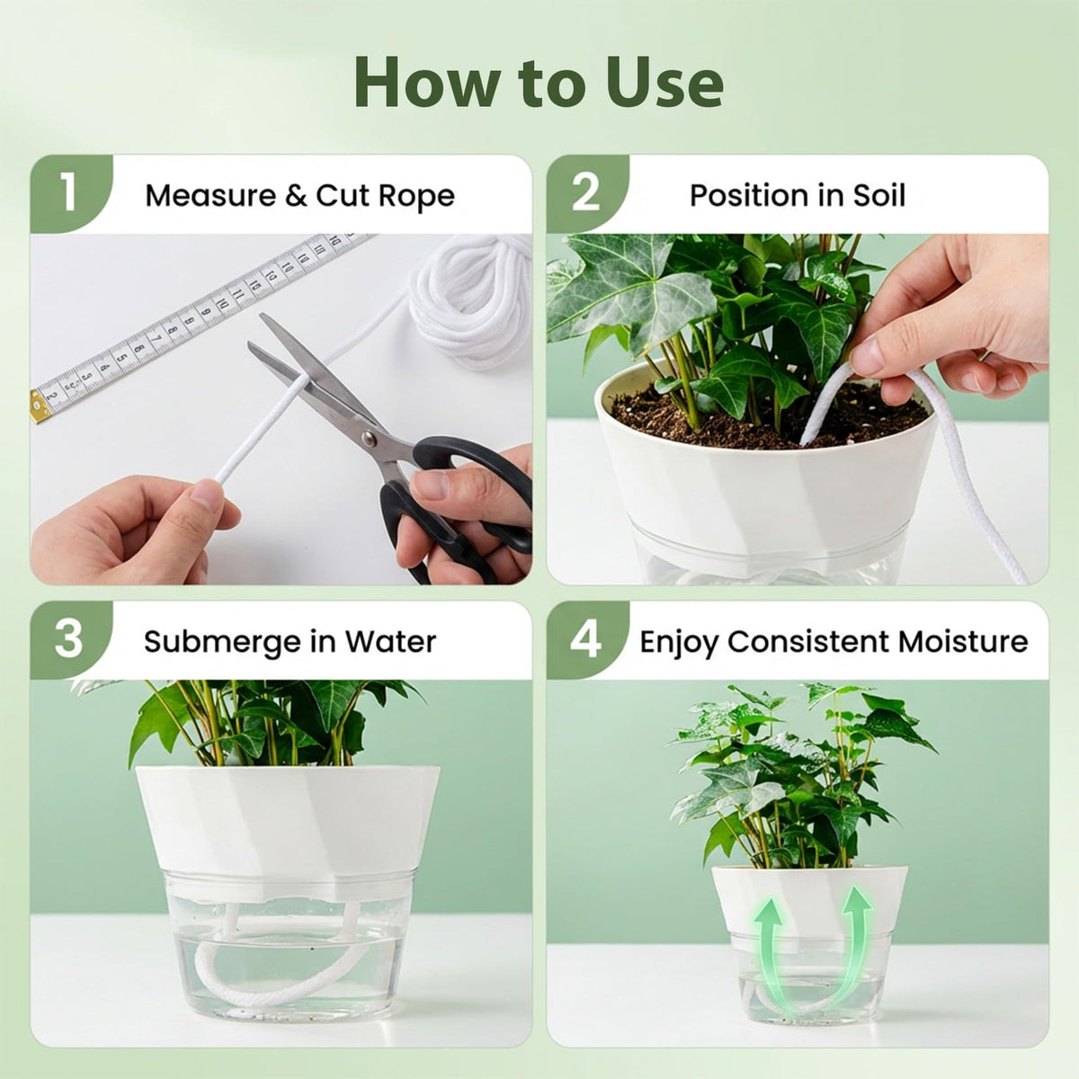 MAQIHAN orchid tomato watering rope setup offers convenient remote moisture.