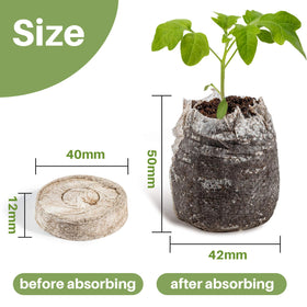 MAQIHAN peat pellets with degradable mesh for easy transport