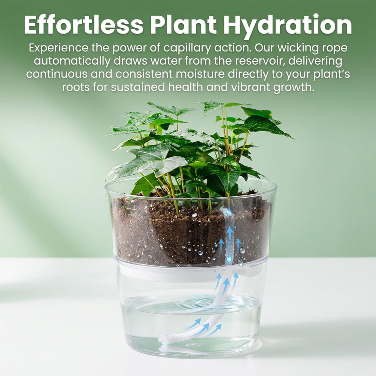 MAQIHAN plant watering rope drip supports orchid and tomato care.