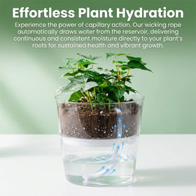 MAQIHAN plant watering rope drip supports orchid and tomato care.