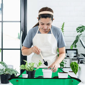 MAQIHAN mat supports trimming, fertilizing, and watering indoors.