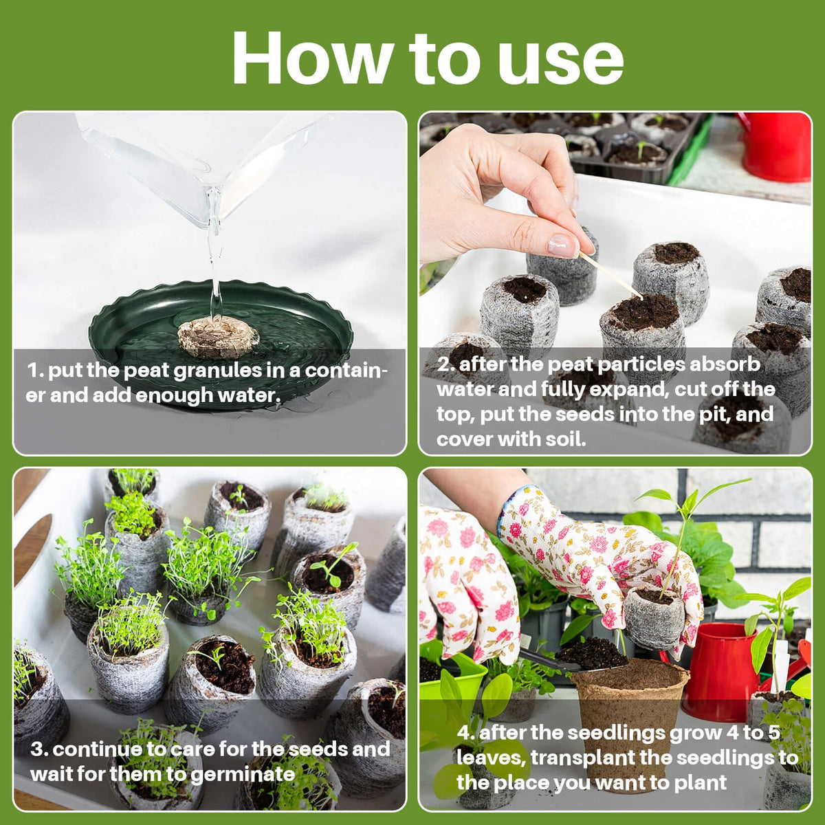 MAQIHAN transplant-ready seedling block for soil planting
