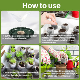 MAQIHAN transplant-ready seedling block for soil planting