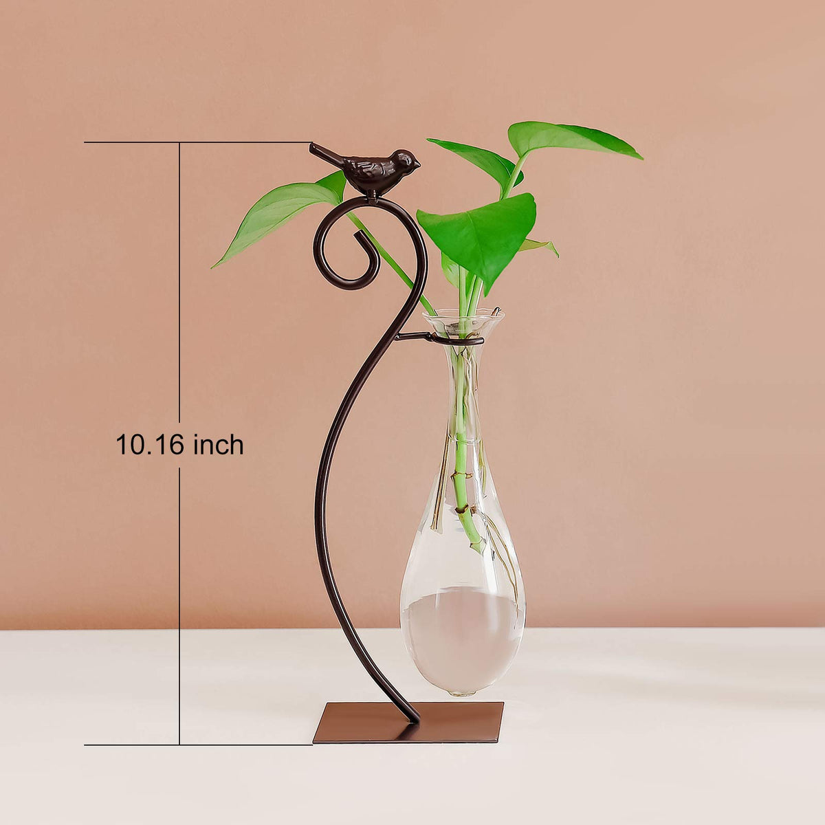 Marbrasse glass planter enhances interior decor and ambiance.