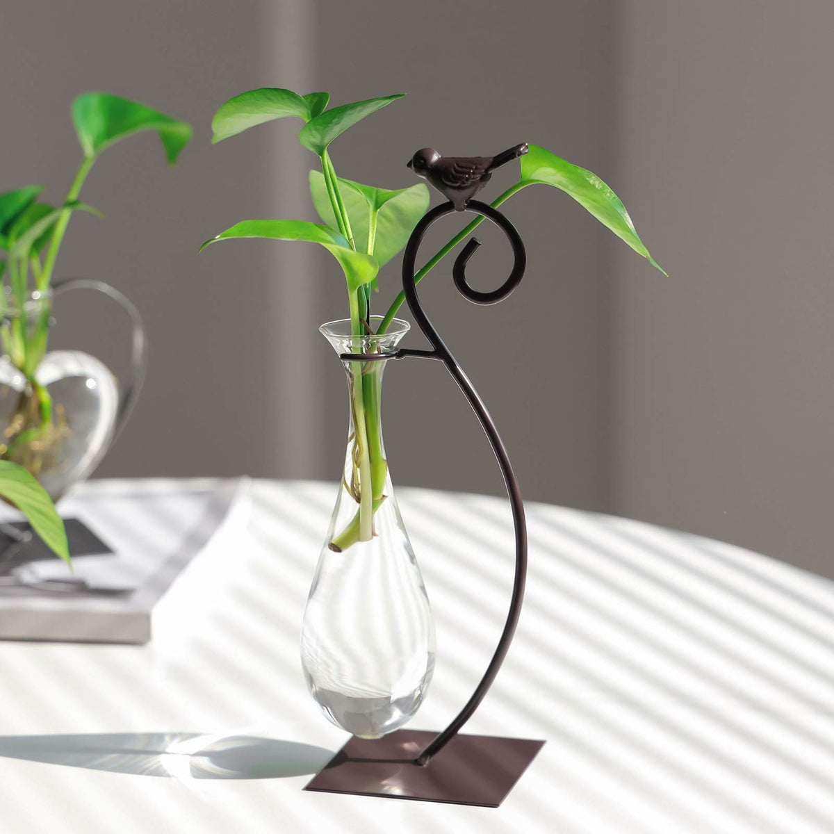 Marbrasse planter with succulent, stylish and low-maintenance.