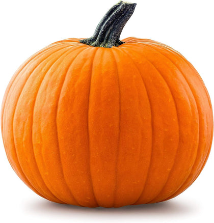 Marde Ross & Company Big Max pumpkin seeds packet front, ideal for planning a big harvest.