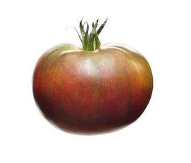 Marde Ross Black Krim tomato slices display rich color ideal for fresh salads