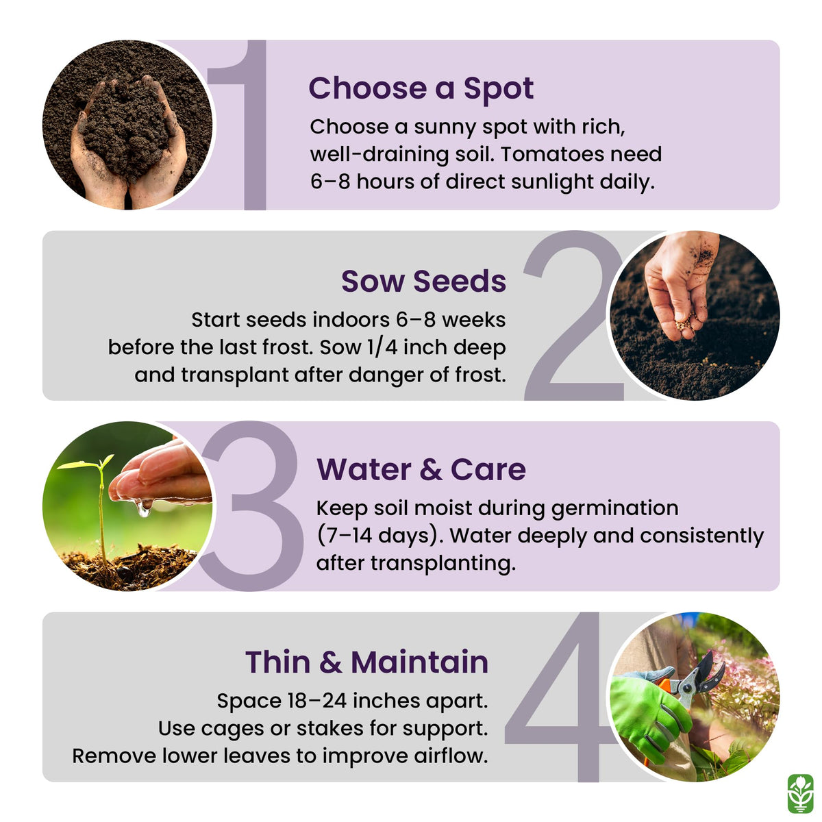 Bonny Best seeds suited for zones 3-9 with full sun.