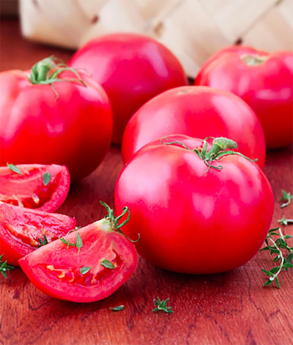 Marde Ross Bradley tomato plant with a compact bush ideal for small gardens.