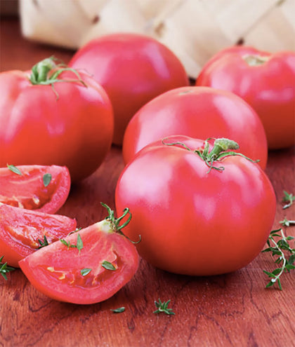 Marde Ross Bradley tomato plant with a compact bush ideal for small gardens.