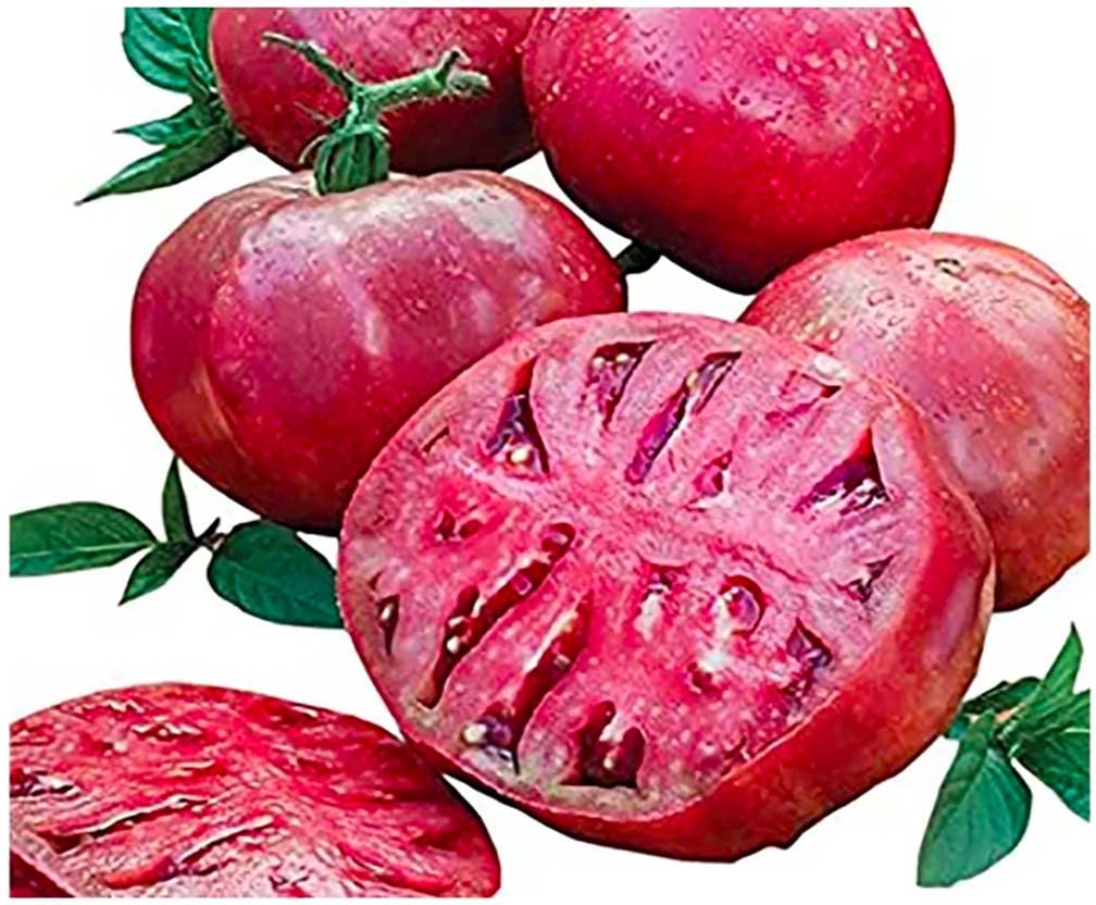 Marde Ross Cherokee Purple seeds pack for home gardening and flavor-rich harvest