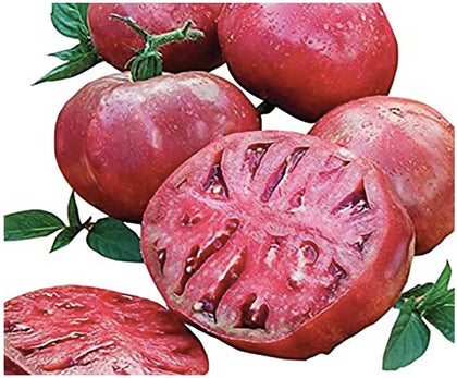 Marde Ross Cherokee Purple seeds pack for home gardening and flavor-rich harvest