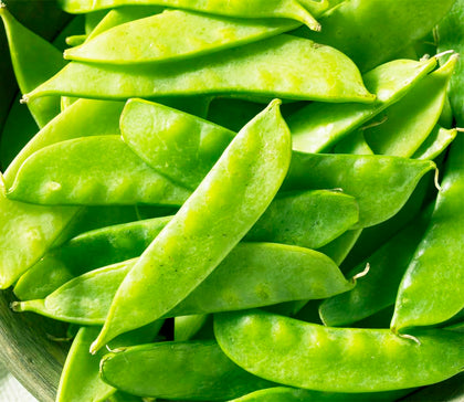 Marde Ross Chinese Snow Pea Seeds packaging; heirloom and neonicotinoid-free, ideal for home gardeners.