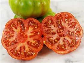 Constoluto tomato fruit on plant with large ribbed, juicy tomatoes.