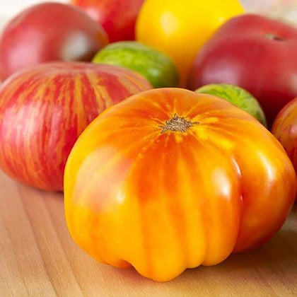 Marde Ross Hillbilly potato leaf tomato seeds pack for home gardens.
