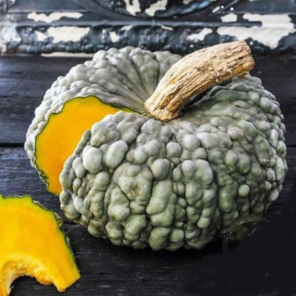 Marde Ross and Company Marina Di Chioggia bumpy blue pumpkin seeds pack ready for planting
